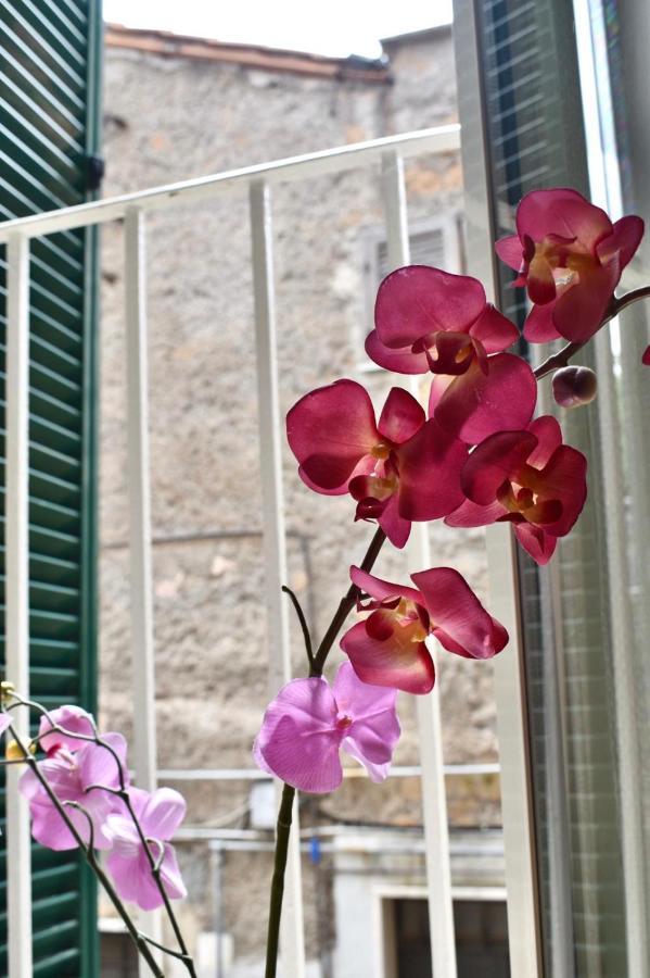 Suali Case Nel Borgo Civita Castellana Buitenkant foto
